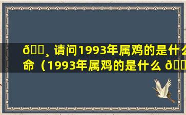 🕸 请问1993年属鸡的是什么命（1993年属鸡的是什么 🐬 命,第一星座）